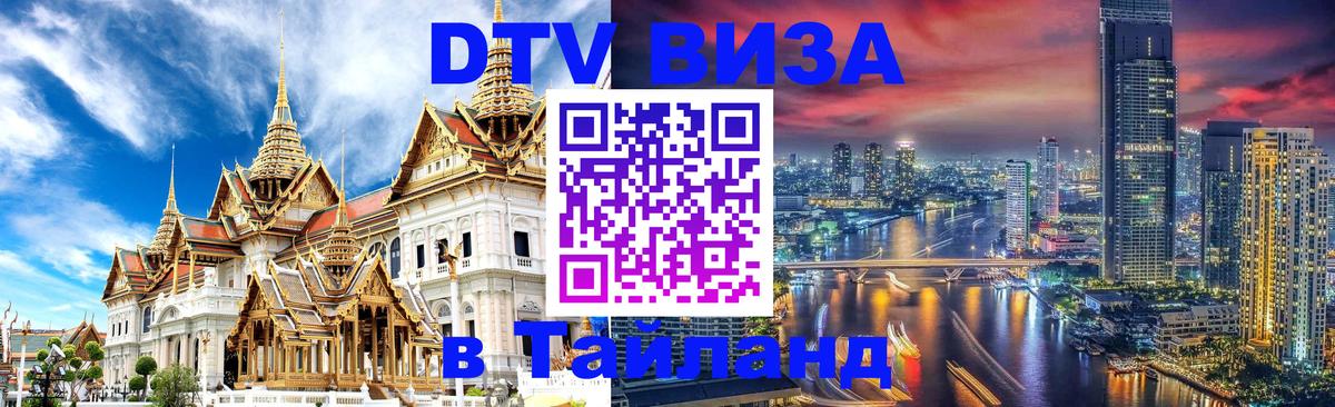 Оформление DTV визы под ключ: стоимость и тарифы, только загранпаспорт - Тирасполь  09.01.2026 